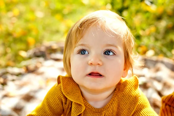 Adorable Niña Pequeña Sentada Suelo Haciendo Picnic Parque Otoño Niño —  Fotos de Stock