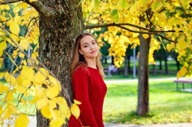 Seçici odaklanma. Sonbahar ormanlarında sarı yaprakların arasında kırmızı örülü bir elbise giyen güzel bir kadın. Güneşli bir sonbahar gününde bir park.