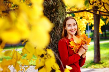 Seçici odaklanma. Sonbahar ormanında gülümseyen, kırmızı örgü elbiseli, sarı yapraklı çekici bir sarışının portresi. Sonbahar tatili ve hafta sonları kavramı