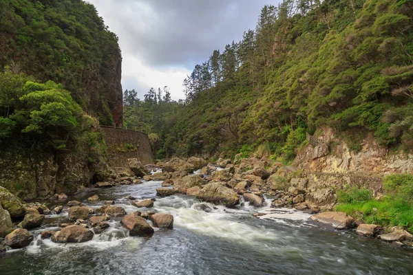 Ποταμός Ohinemuri Ρέει Μέσα Από Τραχύ Δασώδες Φαράγγι Του Καραγκιόζη — Φωτογραφία Αρχείου