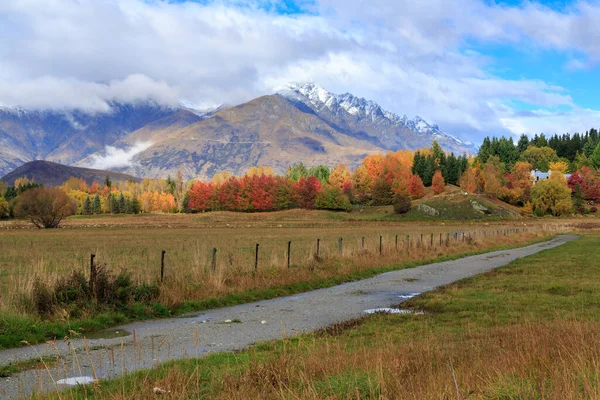 Paysage Automne Près Arrowtown Nouvelle Zélande Chemin Gravier Mène Une — Photo