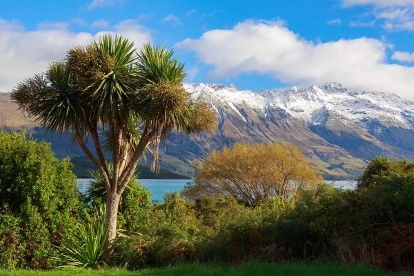 Τοπίο Στη Λίμνη Wakatipu Στο Νότιο Νησί Της Νέας Ζηλανδίας — Φωτογραφία Αρχείου
