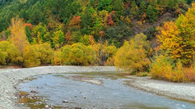 Sonbaharda Yeni Zelanda 'nın Güney Adası' ndaki Arrow Nehri 'nin panoramik manzarası renkli yapraklarla çevrili.