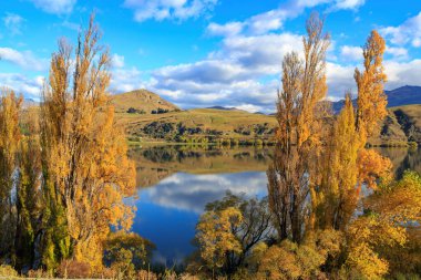 Yeni Zelanda 'nın Güney Adası Otago bölgesinde Hayes Gölü' nü çevreleyen güzel sonbahar rengi