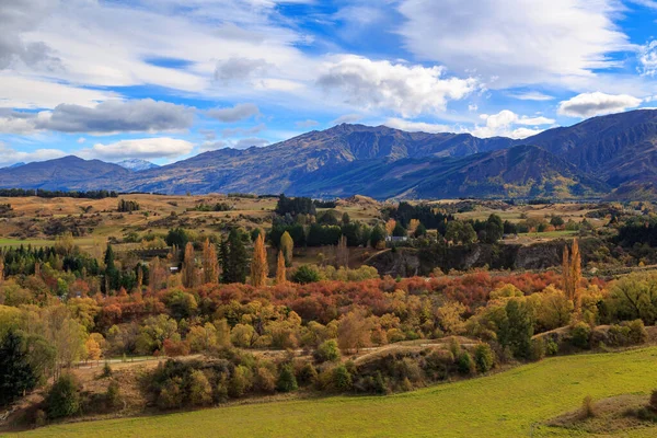 Paisagem Outono Ilha Sul Nova Zelândia Campo Torno Arrowtown Visto — Fotografia de Stock