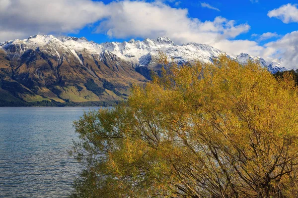 Wakatipu Gölü Yeni Zelanda Sonbahar Yapraklı Bir Söğüt Ağacı Planda — Stok fotoğraf