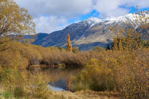 Φθινοπωρινές Ιτιές Περιβάλλουν Μια Λίμνη Στη Λιμνοθάλασσα Glenorchy Έναν Υγρότοπο — Φωτογραφία Αρχείου