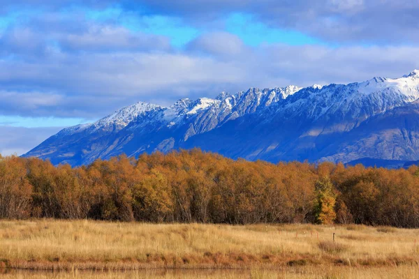 Autumn trees and a snowy mountain range in the Otago region of New Zealand\'s South Island