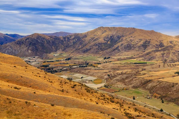 Vale Gibbston Região Otago Ilha Sul Nova Zelândia Área Uma — Fotografia de Stock