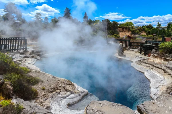 Vapor Sobe Uma Fonte Termal Fervente Whakarewarewa Maori Village Uma — Fotografia de Stock