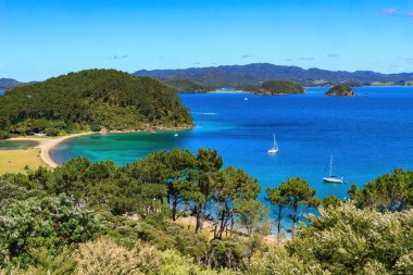 Yeni Zelanda 'nın güzel Adaları Körfezi' ndeki Motuarohia (Roberton) adası. Adanın koylarından birinde yatlar