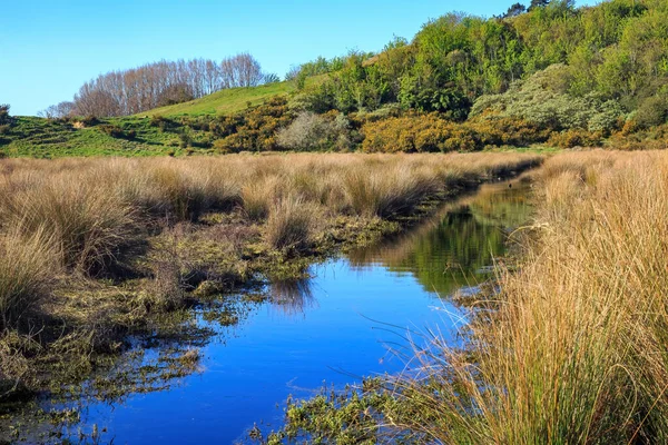 Canal Drenagem Que Atravessa Vegetação Pastosa Uma Zona Húmida Fotografado — Fotografia de Stock