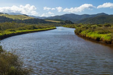 Coromandel Yarımadası, Yeni Zelanda 'daki zarif Waikawau Nehri' nde bir viraj.