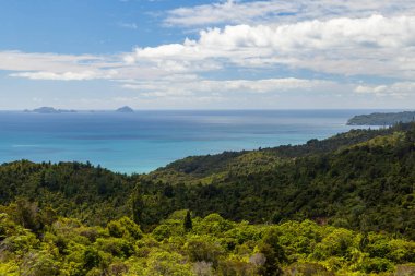 Yeni Zelanda 'nın doğu Coromandel Yarımadası' nın yoğun ormanlık kıyı şeridi. Sağ ufukta Aldermen Adaları var.
