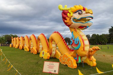 Çin Yeni Yıl Festivali (Bahar Festivali) sırasında parkta sergilenen dev bir altın ejder heykeli. Auckland, Yeni Zelanda, 1 Mart 2026