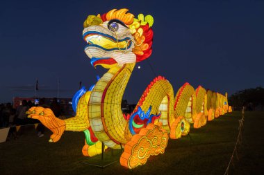 Auckland, Yeni Zelanda 'da düzenlenen Çin Yeni Yıl Festivali' nde süslü bir altın ejder feneri. 1 Mart 2026