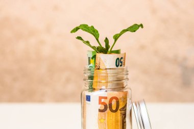 Metin, yatırım ve finans ve para büyümesi kavramı için kopyalama alanı olan cam bir kavanozdaki banknotlardan büyüyen bitki