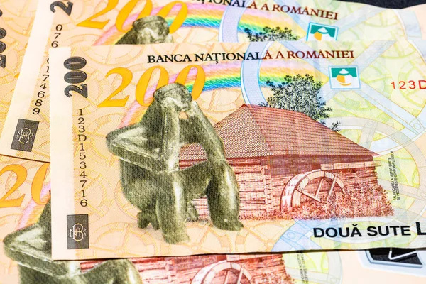 Selektivní Zaměření Podrobnosti Bankovkách Lei Detailní Makro Detaily Rumunských Lei — Stock fotografie
