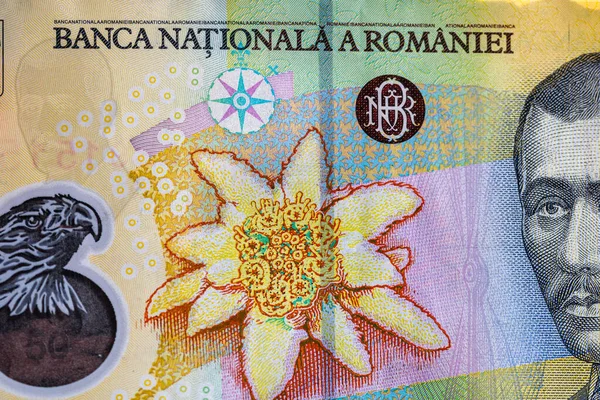 Ley Banknotlarının Detaylarına Özen Göster Romanya Lei Banknotlarının Makro Detaylarını — Stok fotoğraf