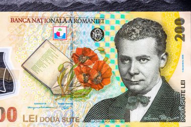 Ley banknotlarının detaylarına özen göster. Romanya lei banknotlarının makro detaylarını kapat, 200 lei izole edilmiş. Dünya para kavramı, enflasyon ve ekonomi kavramı