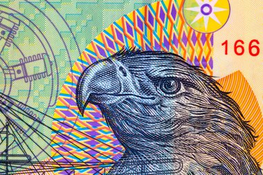 Ley banknotlarının detaylarına özen göster. Romanya lei banknotlarının makro detaylarını kapat, 50 lei izole edilmiş. Dünya para kavramı, enflasyon ve ekonomi kavramı