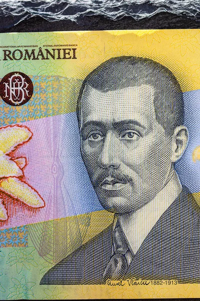 Selektywne Skupienie Się Szczegółach Banknotów Lei Zbliżenie Makro Szczegółów Rumuńskich — Zdjęcie stockowe