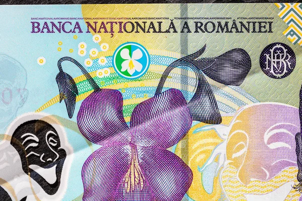 Ley Banknotlarının Detaylarına Özen Göster Romanya Lei Banknotlarının Makro Detaylarını — Stok fotoğraf