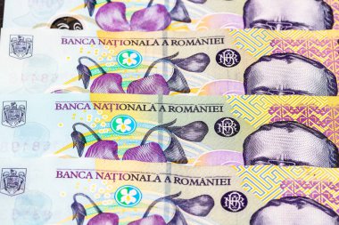 Ley banknotlarının detaylarına özen göster. Romanya lei banknotlarının makro detaylarını kapat, 100 lei izole edilmiş. Dünya para kavramı, enflasyon ve ekonomi kavramı