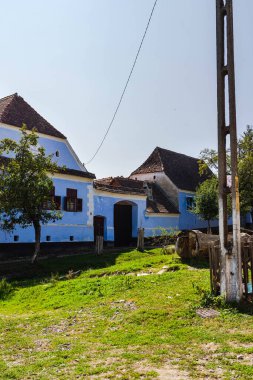 Romanya 'daki Viscri köyünün manzarası. Romanya 'nın Viscri kentindeki ortaçağ Sakson köyündeki geleneksel evleri boyamış.
