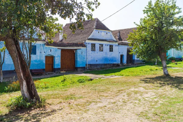 Zicht Het Pittoreske Dorpje Viscri Roemenië Geschilderde Traditionele Oude Huizen — Stockfoto