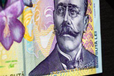 Ley banknotlarının detaylarına özen göster. Romanya lei banknotlarının makro detaylarını kapat, 100 lei izole edilmiş. Dünya para kavramı, enflasyon ve ekonomi kavramı