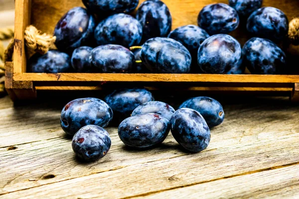 Kırsal bir kompozisyonda ahşap bir sandıkta olgun mavi erikler..