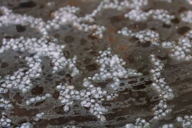 Selamlamaya yakın, küçük dolu toplarına odaklan.