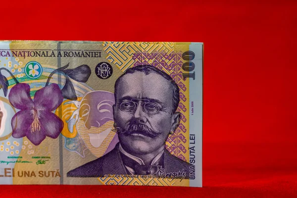 Selektywne Skupienie Się Szczegółach Banknotów Lei Zbliżenie Makro Szczegółów Rumuńskich — Zdjęcie stockowe