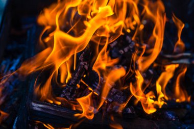 Kömür oluşturmak için odun parçaları yakmak. Barbekü hazırlığı, pişirmeden önce ateş..