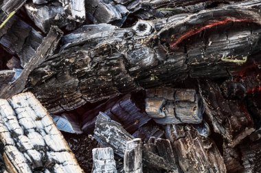 Yanan odun parçaları kömür oluşturur. Barbekü hazırlığı, pişirmeden önce ateş. Sıcak kömür çok ısıtılmış ahşaptan yapılır..