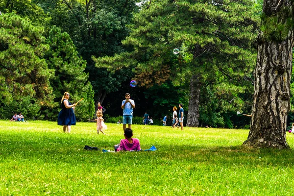 Mutter Macht Seifenblasen Für Ihre Kleine Tochter Leute Picknicken Entspannt — Stockfoto
