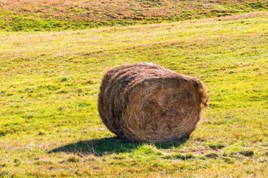 Tarım tarlaları, saman yığınları, saman balyaları. Sahada saman topları.