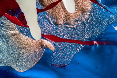 Su yüzeyinde yağ damlaları ve dalgaları olan soyut renkli arkaplan. Soyut arkaplan kavramı