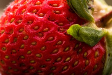 Tohum ashenlerini gösteren taze çilekleri kapatın. Taze olgun kırmızı çileğin ayrıntıları..