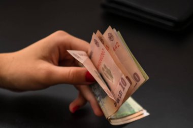 LEI banknotlarının detaylarına özen göster. Rumen LEI banknotları saymak veya vermek. Dünya para kavramı, enflasyon ve ekonomi kavramı