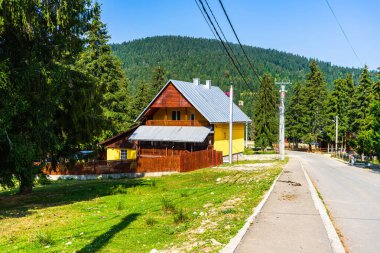 Romanya 'nın Bihor kentindeki dağlık yol kenar evleri ve ağaçların manzarası, 2021