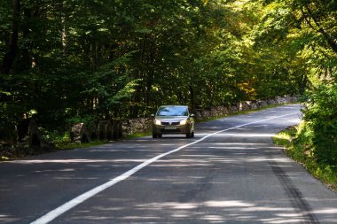 Romanya 'nın Bihor kentindeki asfalt dağ yolunda hareket halindeki bir araba.