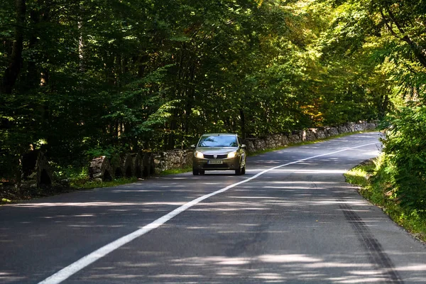 Romanya 'nın Bihor kentindeki asfalt dağ yolunda hareket halindeki bir araba.