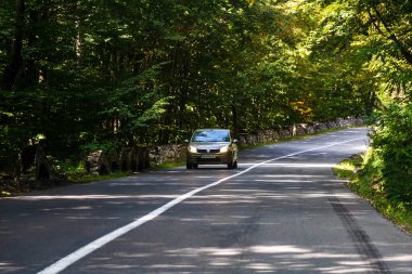 Romanya 'nın Bihor kentindeki asfalt dağ yolunda hareket halindeki bir araba.