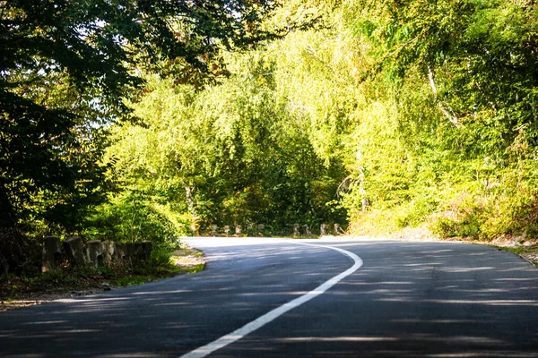 Güneşli bir günde ağaçların arasındaki dağ yolunun arabasının ön camından bak..