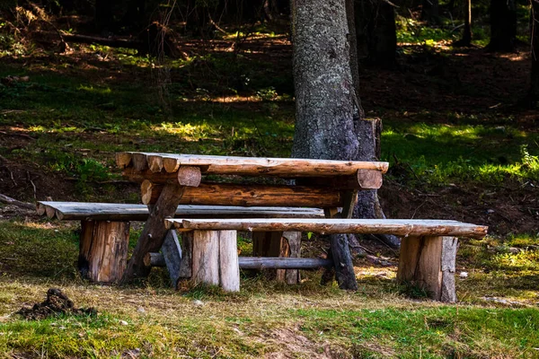 Meubles Bois Table Banc Dans Une Forêt Montagne — Photo