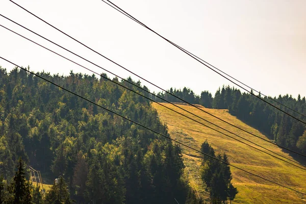 Bosque Montaña Verde Paisaje Hermosa Naturaleza Con Prados Alpinos Bihor — Foto de Stock