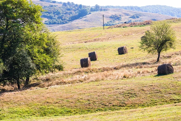 Champ Agricole Avec Des Meules Foin Une Pile Balles Foin — Photo