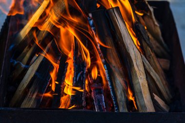 Kömür oluşturmak için odun parçaları yakmak. Barbekü hazırlığı, pişirmeden önce ateş..
